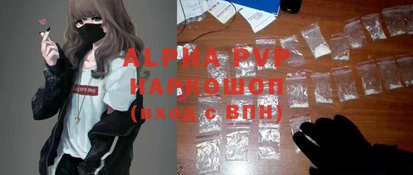 стаф Алексин
