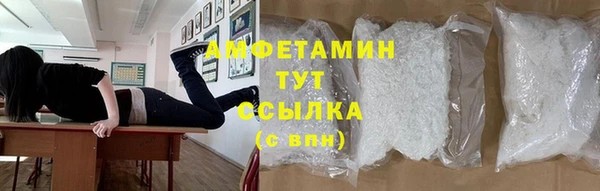 стаф Алексин