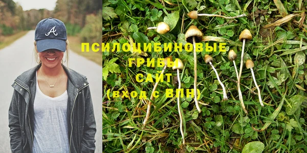 экстази Алзамай