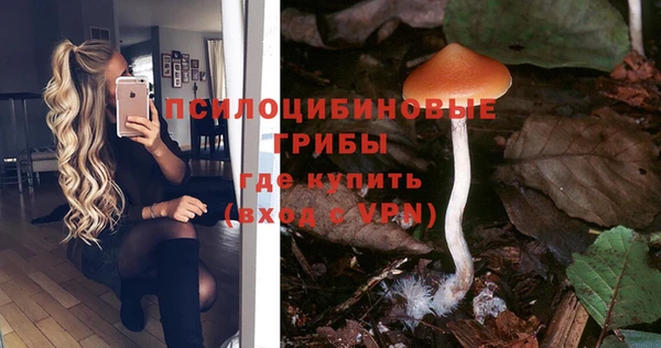 стаф Алексин