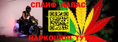 гидра Кунгур