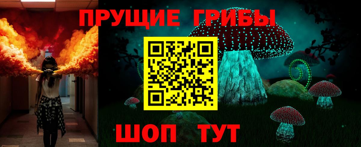 Псилоцибиновые грибы Cubensis Елабуга