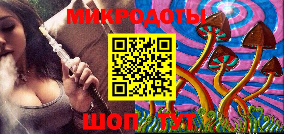 Елабуга  Псилоцибиновые грибы Psilocybe  Вход с VPN 