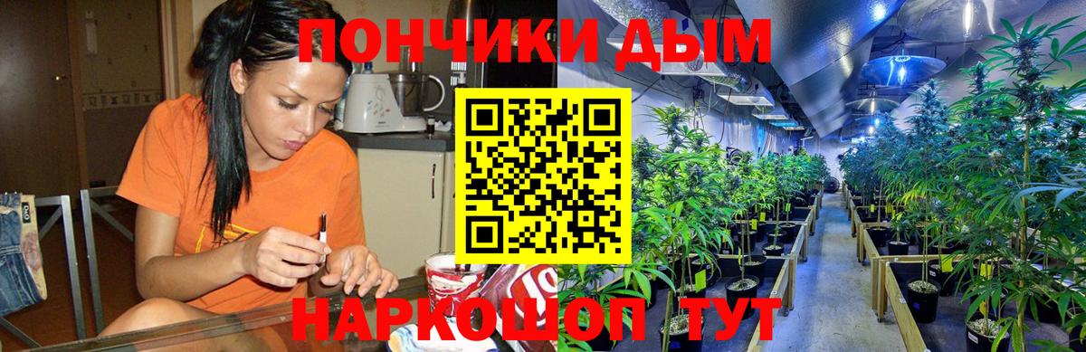 Елабуга  Канабис ГИДРОПОН  Шишки марихуана Amnesia  Марихуана марихуана  Вход с VPN 